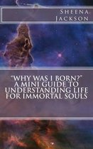 Why Was I Born? a Mini Guide to Understanding Life for Immortal Souls
