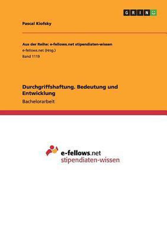 Durchgriffshaftung. Bedeutung und Entwicklung - cover