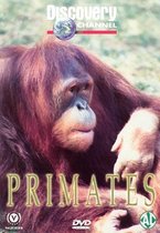 Primates