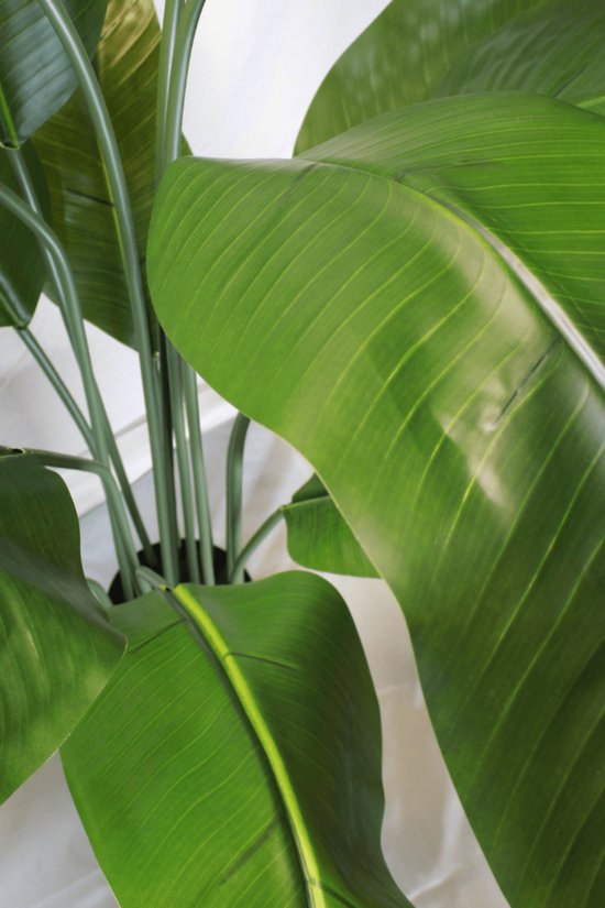 Bananen Kunstplant Bestellen | Hoogwaardige Kwaliteit