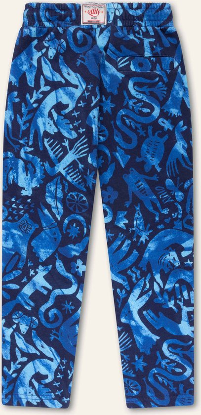 Pike pants 55 AOP Archeoilily Blue: 92/2yr