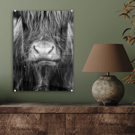 MuchoWow® Tableau sur verre 30x40 cm - Tableau sur verre acrylique - Highlander écossais - Vache - Zwart - Wit - Animaux - Photo sur verre - Décoration murale salon - Décoration murale chambre - Peintures