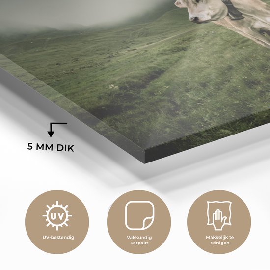 Vache en zone de montagne Glas 120x80 cm - Tirage photo sur Glas (Décoration murale plexiglas)