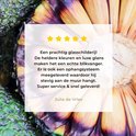 Review van een glas schilderij met Braziliaans fruit. De review prijst de heldere kleuren, luxe glans, ophangsysteem en snelle levering.