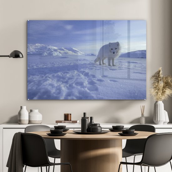 Renard arctique dans la neige en Glas 120x80 cm - Tirage photo sur Glas (décoration murale en plexiglas)