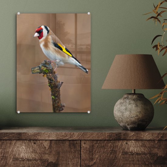 Peinture sur verre - Gros plan d'un chardonneret coloré sur une branche fine - 30x40 cm - Peintures sur Verre Peintures - Photo sur Glas