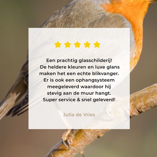 MuchoWow® Glasschilderij 60x80 cm - Schilderij acrylglas - Roodborstje - Vogel - Natuur - Foto op glas - Schilderijen