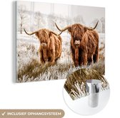 MuchoWow® Glasschilderij 60x40 cm - Schilderij acrylglas - Schotse hooglander - Koe - Dieren - Foto op glas - Schilderijen