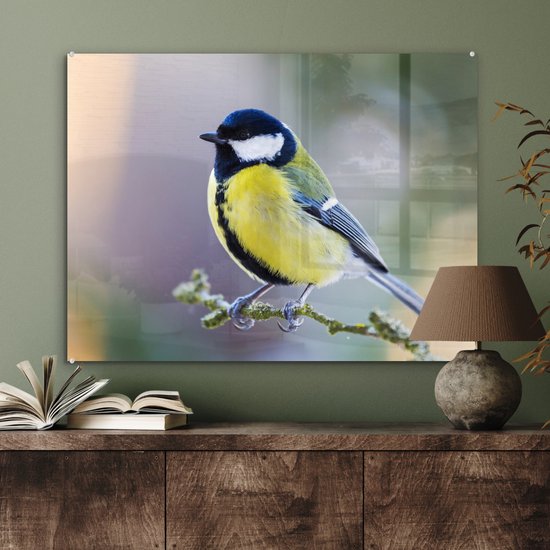 Peinture sur verre - Mésange charbonnière - Vogel - Branche - Mousse - Verre acrylique - Photo sur verre - 80x60 cm - Décoration murale verre - Peinture sur verre oiseaux - Peinture sur verre animaux - Décoration maison - Chambre