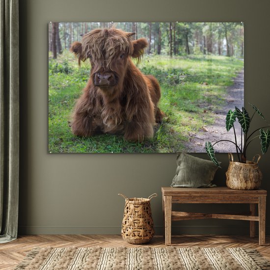 MuchoWow® Glasschilderij 180x120 cm - Schilderij acrylglas - Schotse Hooglander - Pad - Dieren - Foto op glas - Schilderijen