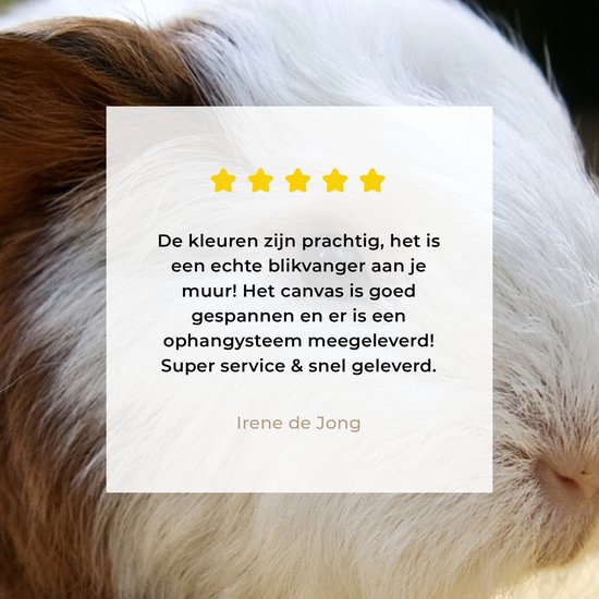 Peinture sur toile Jeune cochon d'Inde - 140x90 cm - Décoration murale