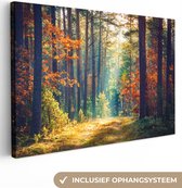 Canvas - Schilderij natuur - Bos - Bladeren - Natuur - Herfst - Wanddecoratie - Foto op canvas - 60x40 cm - Slaapkamer - Interieur
