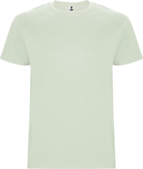 2 Pack T-shirt's unisex met korte mouwen 'Stafford' Mist Green - 3XL