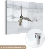 MuchoWow® Glasschilderij 60x40 cm - Schilderij acrylglas - Sperweruil landt in de sneeuw - Foto op glas - Schilderijen