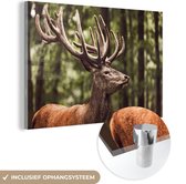 MuchoWow® Peinture sur verre 30x20 cm - Peinture sur verre acrylique - Cerfs - Nature - Bois - Forêt - Animaux - Photo sur verre - Peintures