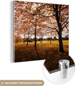 MuchoWow® Peinture sur verre 90x90 cm - Peinture sur verre - Automne - Feuilles d'automne - Nature - Photo sur verre acrylique - Peintures