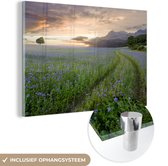 MuchoWow® Glasschilderij 120x80 cm - Schilderij acrylglas - Zonsondergang - Bloemen - Kleuren - Foto op glas - Schilderijen