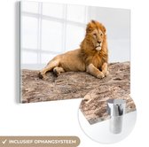 MuchoWow® Glasschilderij 180x120 cm - Schilderij acrylglas - Leeuw - Manen - Dier - Foto op glas - Schilderijen