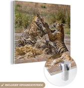 MuchoWow® Glasschilderij 90x90 cm - Schilderij acrylglas - Jonge tijgers spelend in het water - Foto op glas - Schilderijen