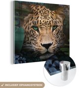 MuchoWow® Glasschilderij 50x50 cm - Schilderij acrylglas - Jungle - Panter - Wilde dieren - Foto op glas - Schilderijen
