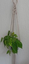 Macramé Plantenhanger Beige, 98cm lang, Verstelbaar, Excl. pot, handgemaakt, gerecycled katoen