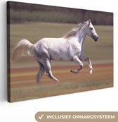 Canvas Schilderij Paard - Licht - Gras - 60x40 cm - Wanddecoratie