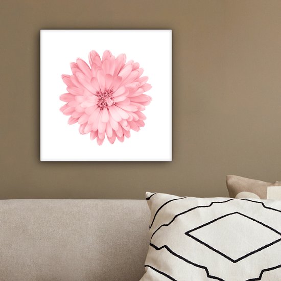 Tableau Fleurs - Rose - Camomille - 20x20 cm - Décoration murale