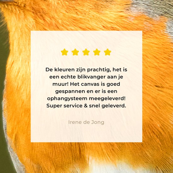 Tableau sur Toile Robin - Branche - Printemps - 160x80 cm - Décoration murale