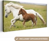 Canvas Schilderij Paarden - Dieren - Gras - 80x40 cm - Wanddecoratie