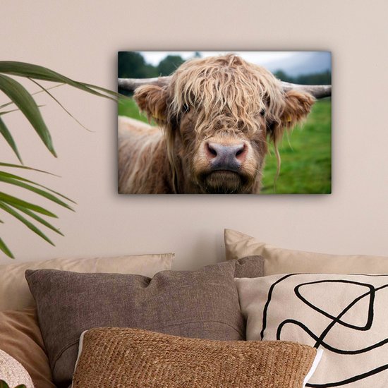 Toile Highlander écossais poilue 2cm