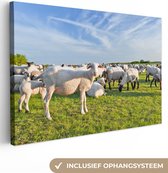 Canvas Schilderij Schapen - Wit - Wol - 90x60 cm - Wanddecoratie