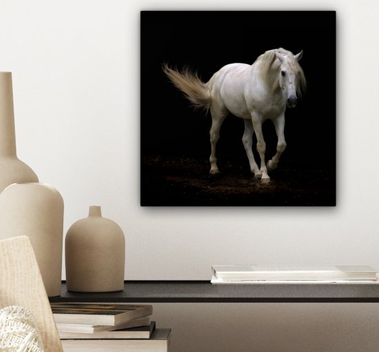 Cheval Wit devant une toile de fond noir 2cm 20x20 cm - petit - Tirage photo sur Toile (Décoration murale salon / chambre) / Animaux sauvages Peintures sur toile