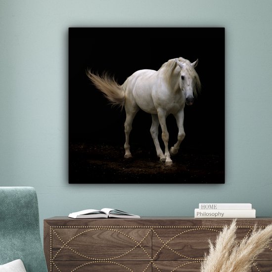 Cheval Wit devant une toile fond noir 2cm 90x90 cm - impression photo sur toile peinture Décoration murale salon / chambre à coucher) / Animaux sauvages Peintures Toile
