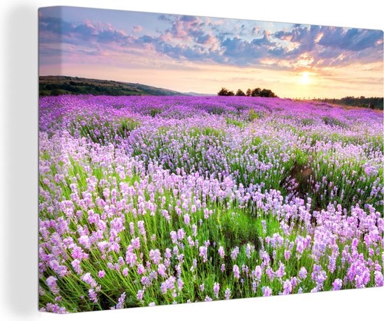 Canvas Schilderij Lavendel - Bloemen - Zonsondergang - Paars - Weide - Wanddecoratie