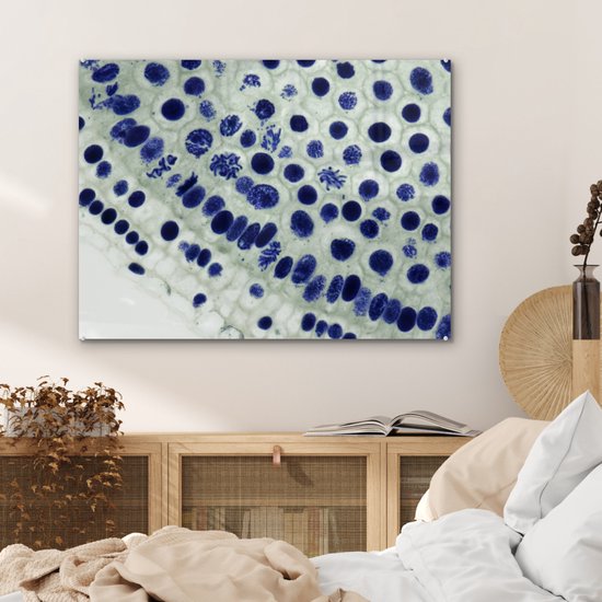 Peinture sur verre - Cellules bleues sous le microscope - 80x60 cm - Peintures sur Verre Peintures - Photo sur Glas