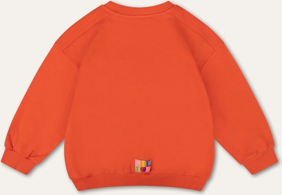 Hooray sweater 17 cherry tomato with artwork Orange: 140/10yr