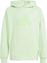 adidas Sportswear Future Icons Logo Sweatshirt met Capuchon - Kinderen - Groen- 152