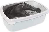 Broodtrommel Wit - Lunchbox Paarden - Zwart - Portret - Dieren - Brooddoos 18x12x6 cm - Brood lunch box - Broodtrommels voor kinderen en volwassenen