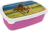 Broodtrommel Roze - Lunchbox Paarden - Gras - Dieren - Landschap - Natuur - Brooddoos 18x12x6 cm - Brood lunch box - Broodtrommels voor kinderen en volwassenen