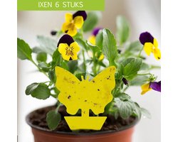 6 Fruitvliegjes Vallen - Rouwvliegjes en Fruitvliegjes Bestrijding Set - Vlinder - 6 Plakkers - Fruit Vliegjes Val - IXEN