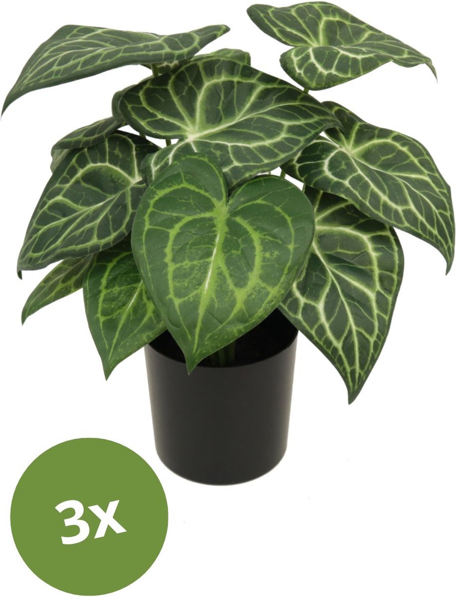 PrettyPlants 3x Syngonium Kunstplant 30 cm