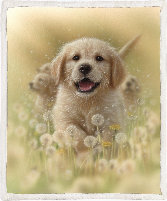 Zacht fleece plaid met een print van een lachende Golden Retriever pup tussen paardenbloemen.
