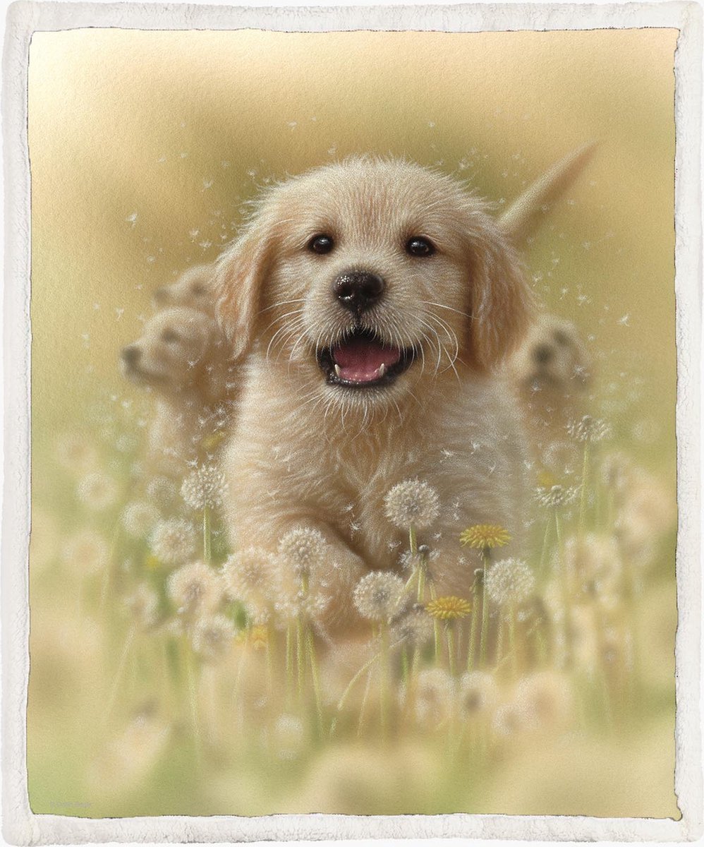 The Coloured House Golden Retriever Fleece Deken 150*200cm Golden Pup - Dandelions Multicolor