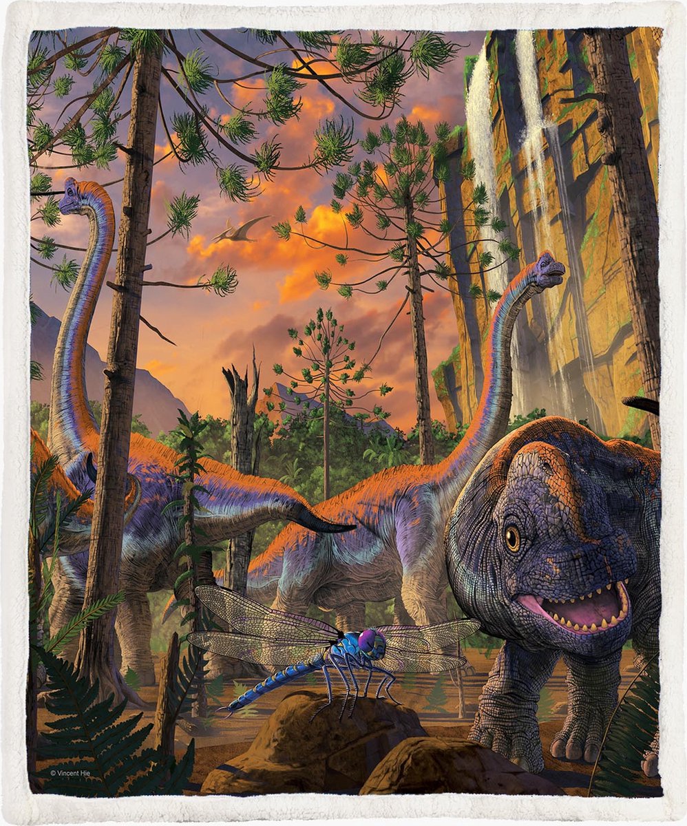 The Coloured House Dinosaurus Fleece Deken 130*150cm Curious Dino Multicolor