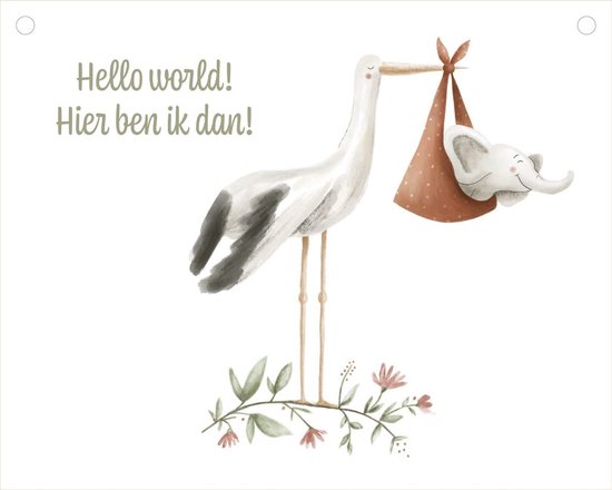 Mijn grote mijlpalenboek