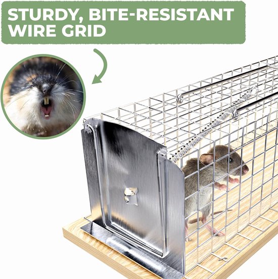 1x Piège à Souris Vivant - Cage-piège réutilisable 29 cm Vivant