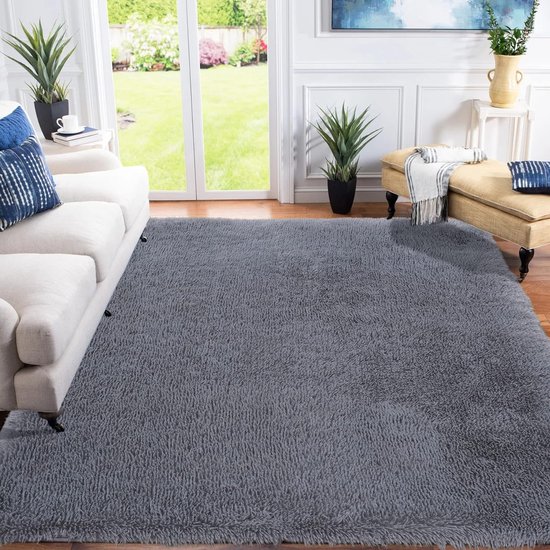 Tapis Poils Longs, Shaggy Pour Salon, Moelleux, Doux, Lavable