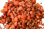 Ready to Fish Particle Mix - 2,5kg | Partikels