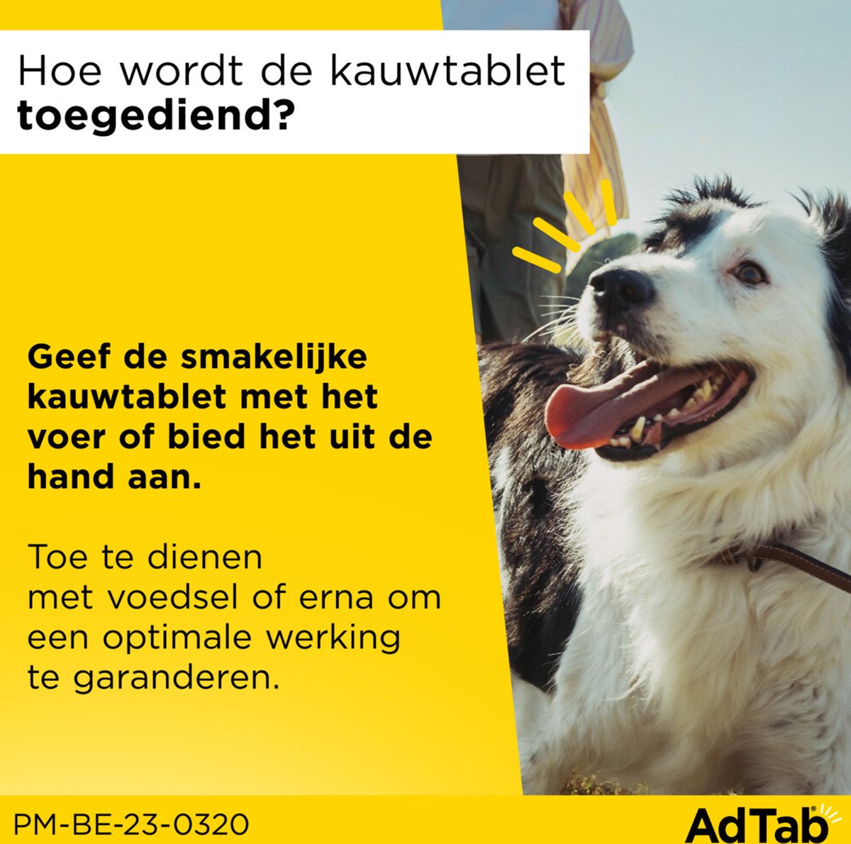 Elanco - Adtab Anti Vlooien en Teek Kauwtabletten - Hond - Bescherming - > 2,5 - 5,5 kg - 3 Tabletten - 1 Keer Per Maand – foto 7