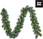 Black Box Trees Norton Guirlande - L270 cm - Frosted green